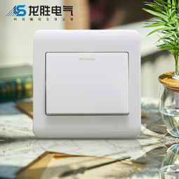 中國(guó)大陸墻面開關(guān)市場(chǎng)概述 質(zhì)量、選擇與選購(gòu)指南